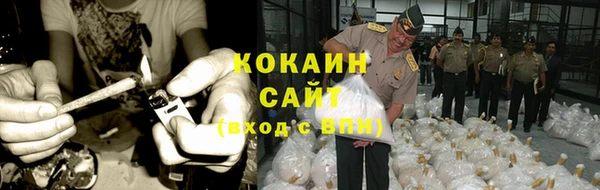 метадон Алексин