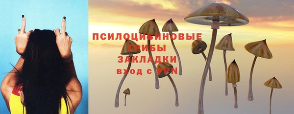 гидра Алзамай