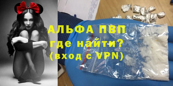 сатива Новодвинск