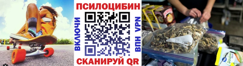 Псилоцибиновые грибы Cubensis  Себеж 